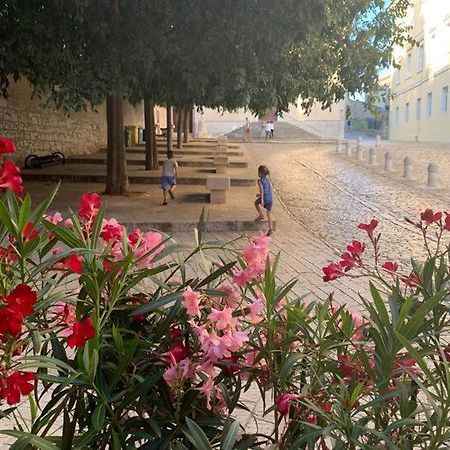 Feel The City Atmosphere Rovinj Exterior photo