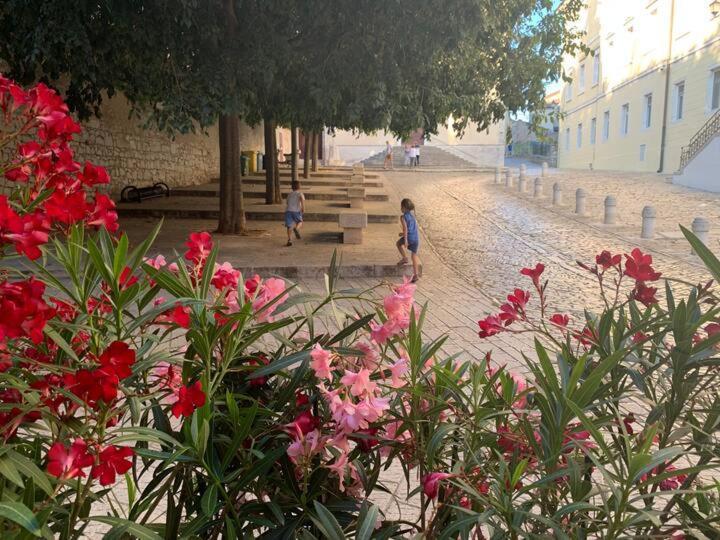 Feel The City Atmosphere Rovinj Exterior photo